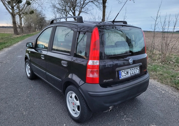 Fiat Panda cena 7900 przebieg: 158000, rok produkcji 2004 z Chełmno małe 352